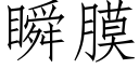 瞬膜 (仿宋矢量字庫)