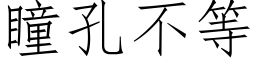 瞳孔不等 (仿宋矢量字库)