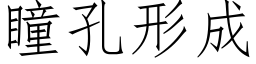 瞳孔形成 (仿宋矢量字庫)