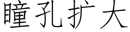 瞳孔擴大 (仿宋矢量字庫)