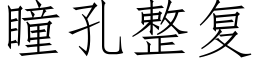 瞳孔整複 (仿宋矢量字庫)