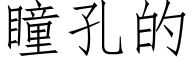 瞳孔的 (仿宋矢量字庫)