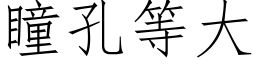 瞳孔等大 (仿宋矢量字庫)