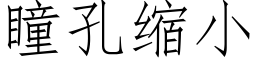 瞳孔縮小 (仿宋矢量字庫)