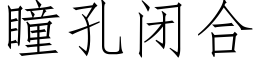 瞳孔閉合 (仿宋矢量字庫)