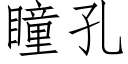 瞳孔 (仿宋矢量字庫)