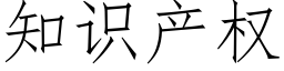 知识产权 (仿宋矢量字库)