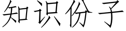 知识份子 (仿宋矢量字库)