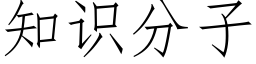 知識分子 (仿宋矢量字庫)