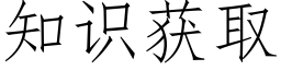 知识获取 (仿宋矢量字库)