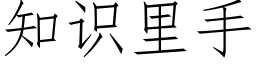 知识里手 (仿宋矢量字库)