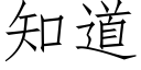 知道 (仿宋矢量字库)