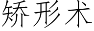 矯形術 (仿宋矢量字庫)