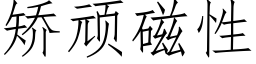 矫顽磁性 (仿宋矢量字库)