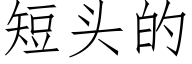 短頭的 (仿宋矢量字庫)