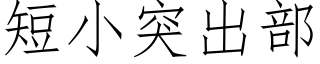 短小突出部 (仿宋矢量字庫)