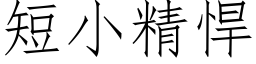 短小精悍 (仿宋矢量字庫)