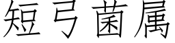 短弓菌属 (仿宋矢量字库)