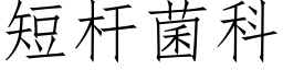 短杆菌科 (仿宋矢量字库)