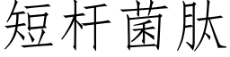 短杆菌肽 (仿宋矢量字庫)