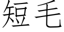 短毛 (仿宋矢量字庫)