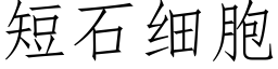 短石細胞 (仿宋矢量字庫)