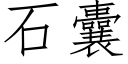 石囊 (仿宋矢量字库)