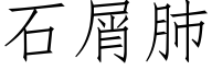 石屑肺 (仿宋矢量字庫)