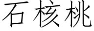 石核桃 (仿宋矢量字库)