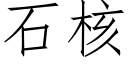 石核 (仿宋矢量字庫)