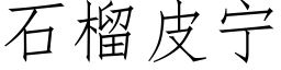 石榴皮甯 (仿宋矢量字庫)