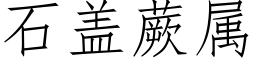 石盖蕨属 (仿宋矢量字库)