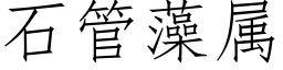 石管藻屬 (仿宋矢量字庫)