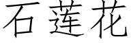 石莲花 (仿宋矢量字库)