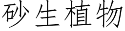 砂生植物 (仿宋矢量字庫)