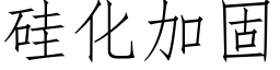 矽化加固 (仿宋矢量字庫)