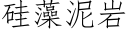 矽藻泥岩 (仿宋矢量字庫)