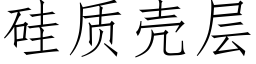 矽質殼層 (仿宋矢量字庫)