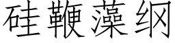 矽鞭藻綱 (仿宋矢量字庫)