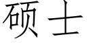 硕士 (仿宋矢量字库)