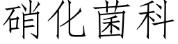 硝化菌科 (仿宋矢量字庫)