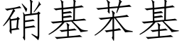 硝基苯基 (仿宋矢量字庫)