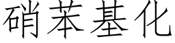 硝苯基化 (仿宋矢量字庫)