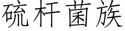 硫杆菌族 (仿宋矢量字库)