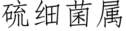 硫细菌属 (仿宋矢量字库)