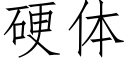 硬体 (仿宋矢量字库)