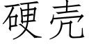 硬壳 (仿宋矢量字库)