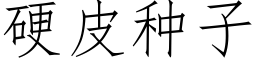 硬皮种子 (仿宋矢量字库)