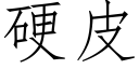 硬皮 (仿宋矢量字库)