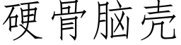 硬骨脑壳 (仿宋矢量字库)